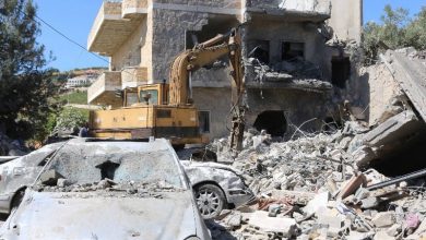 جرافات إسرائيلية تقتلع أشجار فلسطين