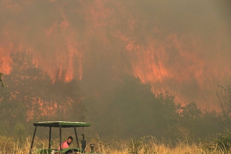 حرائق إسبانيا تدمر مساحات قياسية