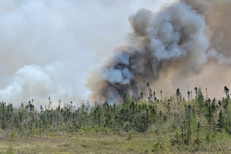 دخان حرائق كندا يهدد الصحة في أمريكا