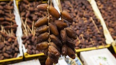 موسم 2025 للتمور المغربية يبشر بوفرة وجودة عالية بعد سنوات الجفاف