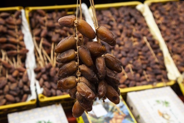 موسم 2025 للتمور المغربية يبشر بوفرة وجودة عالية بعد سنوات الجفاف