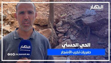 الحي الحسني.. حفريات عشوائية تضر بالأشجار ونائب رئيس الجمعية يدخل على الخط