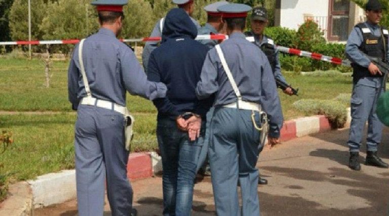 بوزنيقة.. الدرك يدشن حملة واسعة على تجار المخدرات بغابات واد النفيفيخ والمنصورية