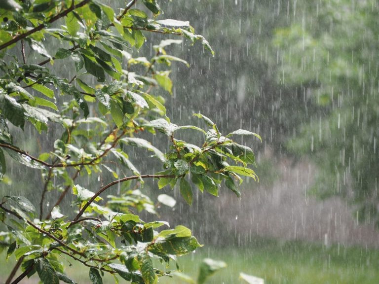 زخات مطرية رعدية تضرب جنوب المغرب الثلاثاء