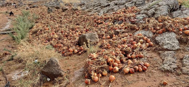 مطالبة بتدخل عاجل لدعم فلاحي بولمان المتضررين من السيول
