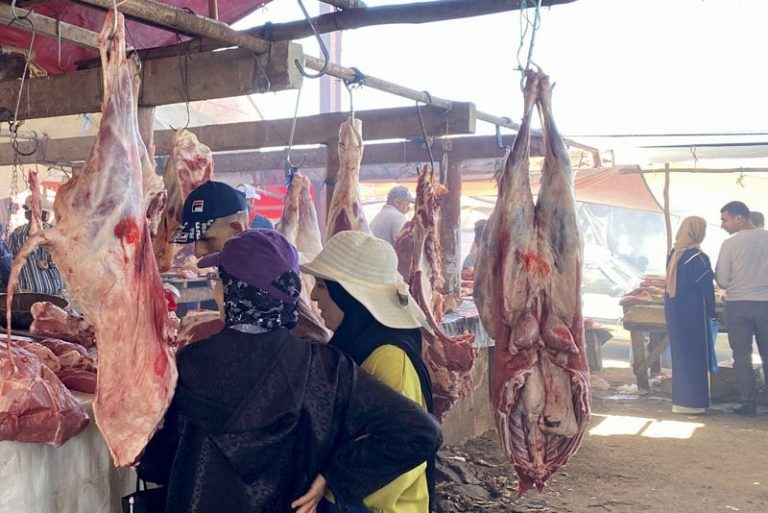 أسعار بيع اللحوم الحمراء تواصل الارتفاع.. ومهنيون يتهمون