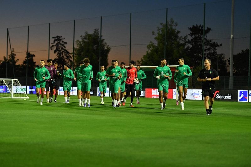 صفوف "الأسود" تكتمل لمواجهة النيجر صفوف "الأسود" تكتمل لمواجهة النيجر