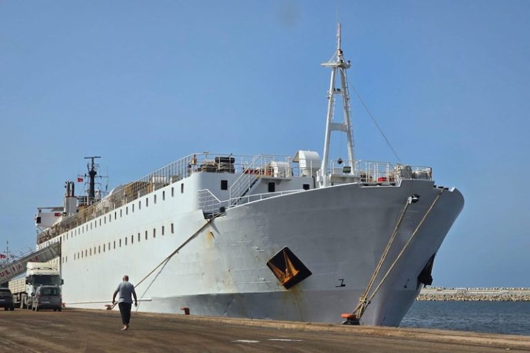 مستوردو الأبقار البرازيلية إلى المغرب يشكون قلة البواخر وغلاء تكاليف النقل