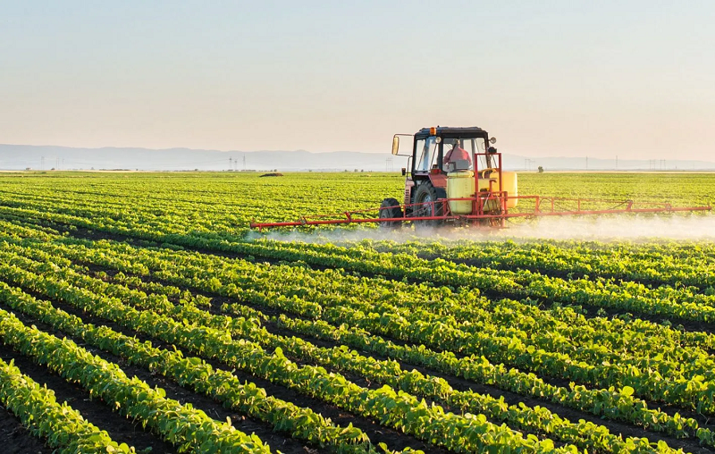 الفاو: المغرب يتوفر على إمكانات "مهمة" لفلاحة مستدامة الفاو: المغرب يتوفر على إمكانات "مهمة" لفلاحة مستدامة