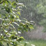 أمطار وزخات رعدية تضرب مناطق مغربية يوم الأربعاء