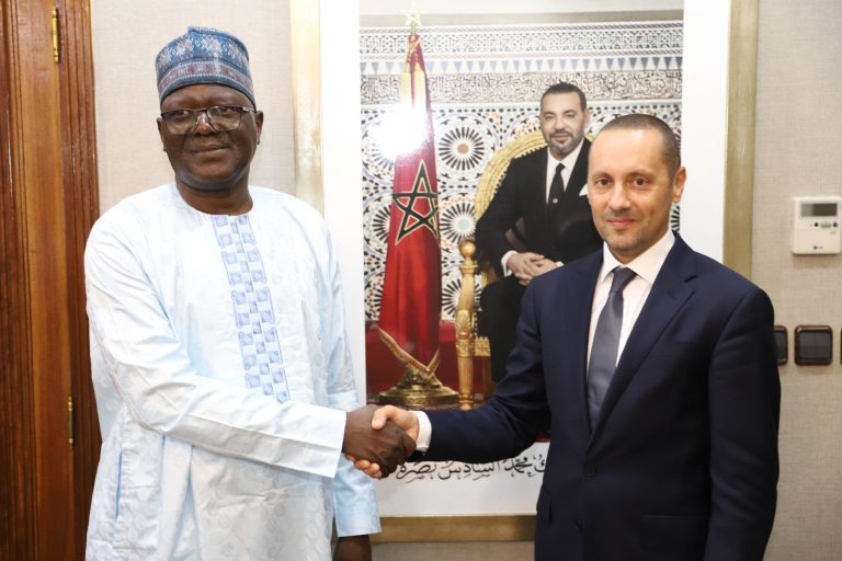 المغرب والنيجر يبحثان تعزيز التعاون الصحي