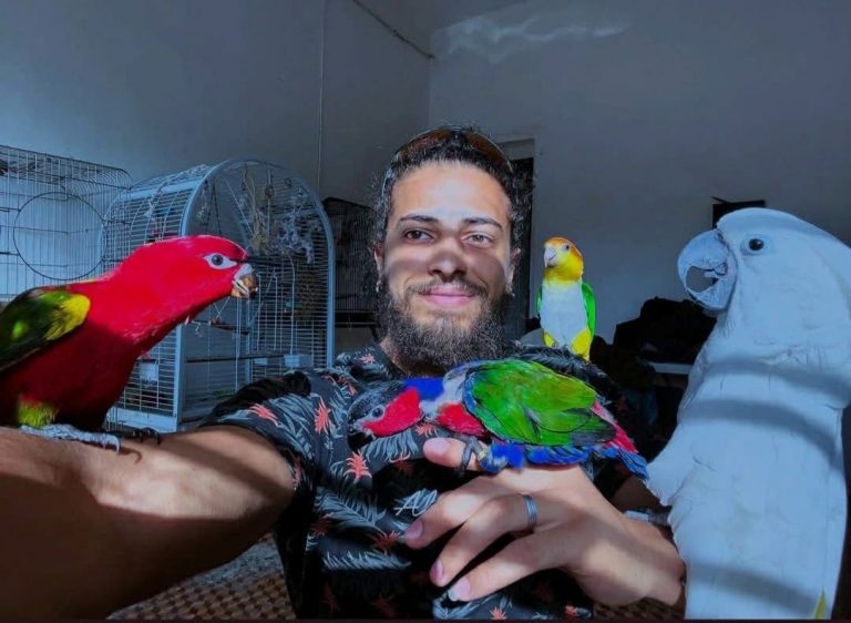 موجة تضامن واسعة مع "Kabo Parrots" بعد مصادرة طيوره في المغرب