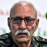 مؤثر جزائري مقرب من النظام العسكري يهاجم "البوليساريو"