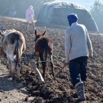 الجفاف يفاقم أزمة الفلاحين في جهة فاس-مكناس