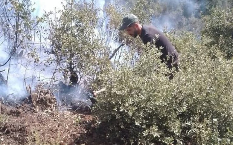 الحسيمة: السلطات تنجح في السيطرة على حريق غابوي بجبل دهدوه