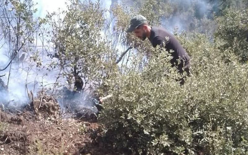 الحسيمة: السلطات تنجح في السيطرة على حريق غابوي بجبل دهدوه