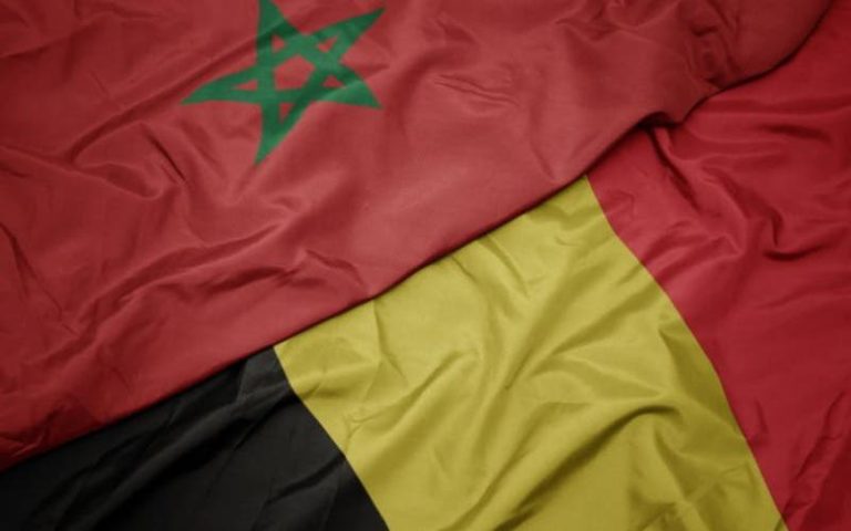 المغرب وبلجيكا تؤكدان عزمهما على تعزيز الشراكة الاستراتيجية