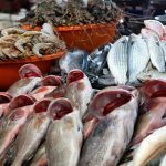 الدريوش تكشف عن إجراءات حكومية لضبط أسعار الأسماك وتعزيز الاستهلاك المحلي