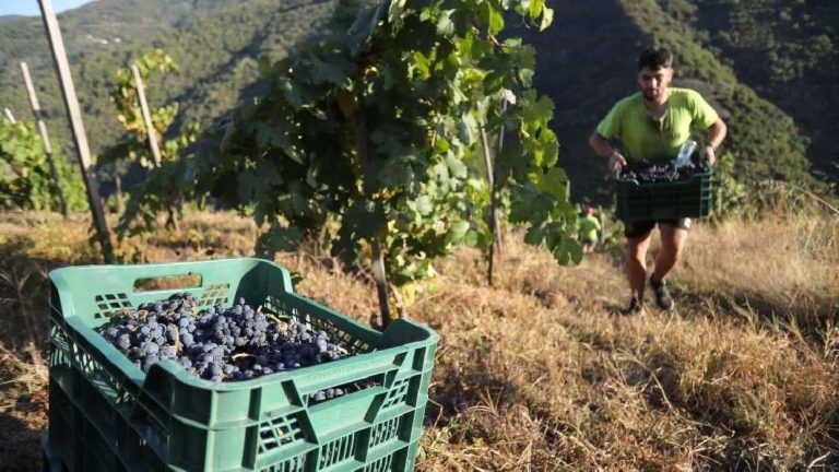 المغرب ضمن أكبر 10 مستوردين للمنتجات الفلاحية الإسبانية