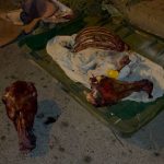 استنفار أمني بالدار البيضاء بعد العثور على بقايا حمار