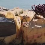 الحسيمة: إحباط تهريب 16 رزمة من المخدرات في عملية نوعية