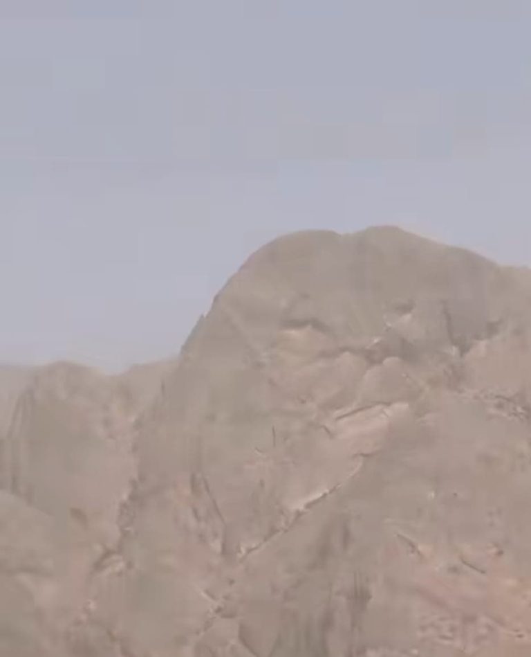 "أسد الأطلس" ينطق من صخور تافراوت: تحفة طبيعية تجذب الأنظار "أسد الأطلس" ينطق من صخور تافراوت: تحفة طبيعية تجذب الأنظار