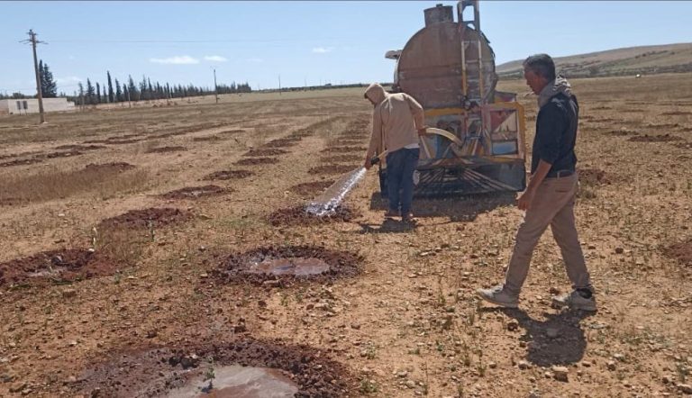 مشروع "TransforMed" المغربي: تجربة رائدة في الزراعة المستدامة بالمتوسط.