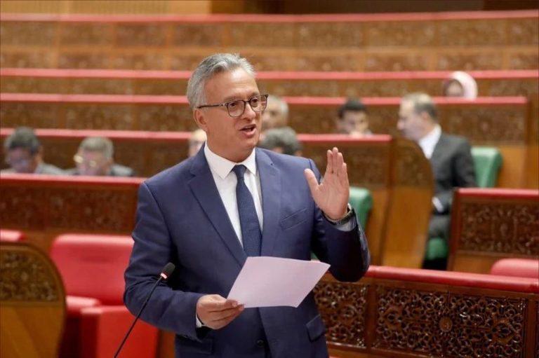 الحكومة تصادق على 250 مشروعًا استثماريًا لخلق 179 ألف فرصة عمل