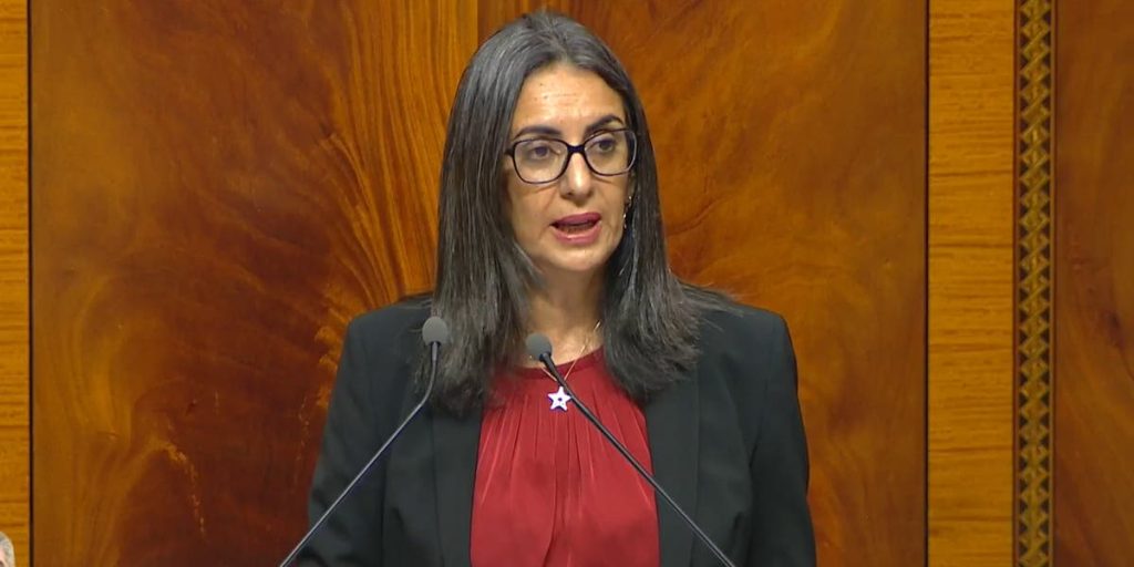فتاح العلوي: قانون المالية الجديد يعزز صمود الاقتصاد المغربي رغم التحديات الدولية