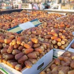 تونس تستثني المغرب من تصدير التمور في الموسم الجديد