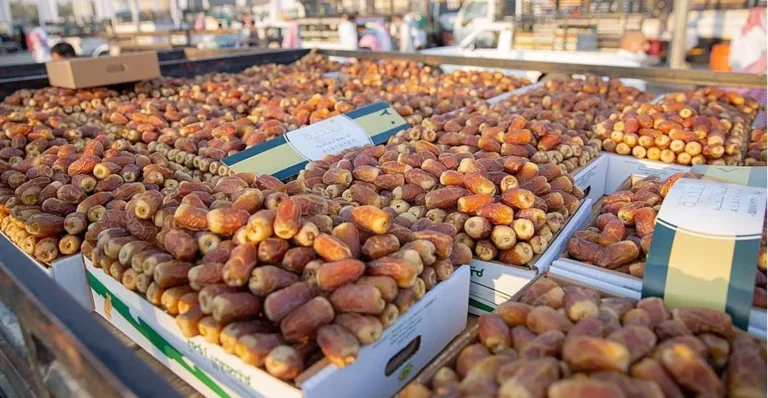تونس تستثني المغرب من تصدير التمور في الموسم الجديد