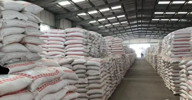 النيابة العامة بفاس تمنع مشتبه بهم في قضية تلاعبات الدقيق المدعم من السفر النيابة العامة بفاس تمنع مشتبه بهم في قضية تلاعبات الدقيق المدعم من السفر