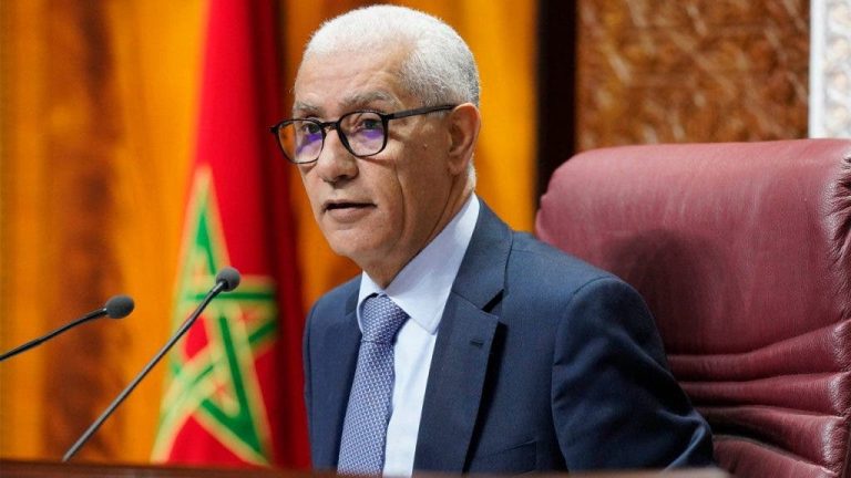 الطالبي العلمي يتباحث مع الممثلة المقيمة لبرنامج الأمم المتحدة الإنمائي بالمغرب
