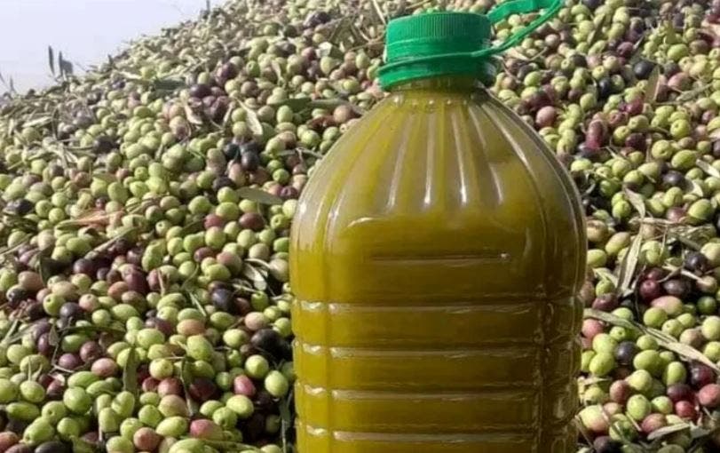 جمعية حقوق المستهلك تتدخل في جدل جودة زيت الزيتون المغربي المصدر