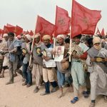 خبير بريطاني: التاريخ خلّد المسيرة الخضراء كملحمة سلام ووحدة