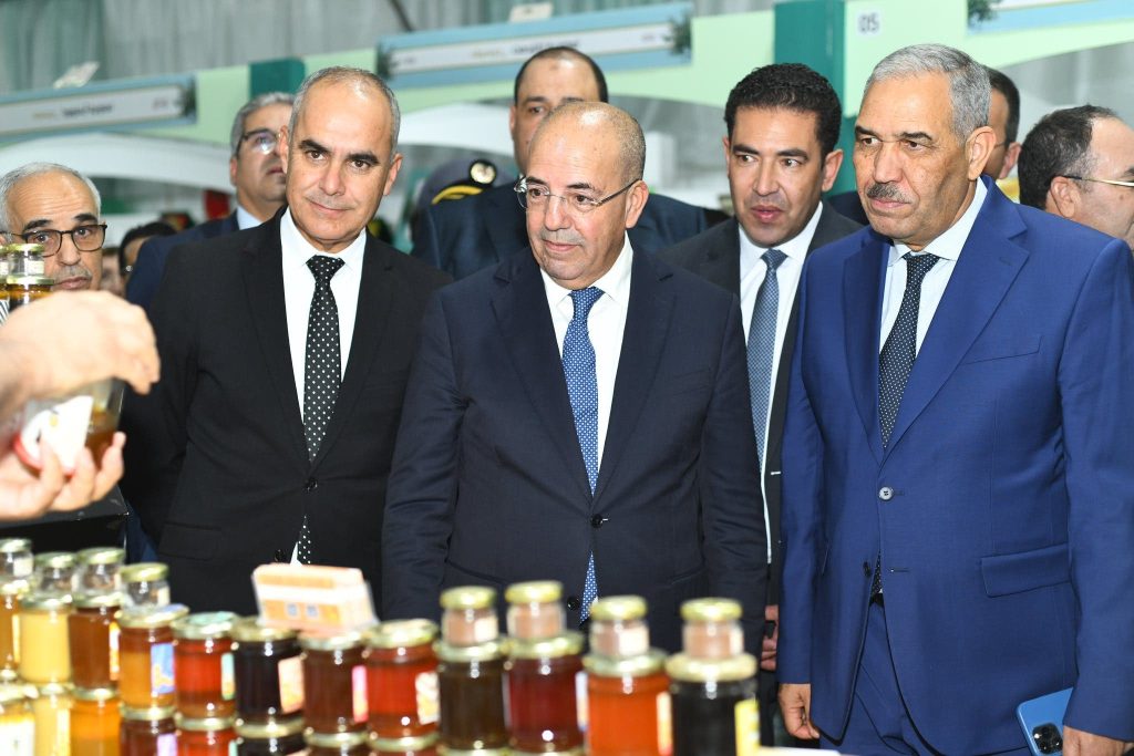 وزير الفلاحة يفتتح المعرض الجهوي للزيتون بجرسيف ويعزز استراتيجية "الجيل الأخضر"