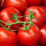 المغرب يضاعف صادرات الطماطم إلى إيرلندا ويسجل رقمًا قياسيًا جديدًا