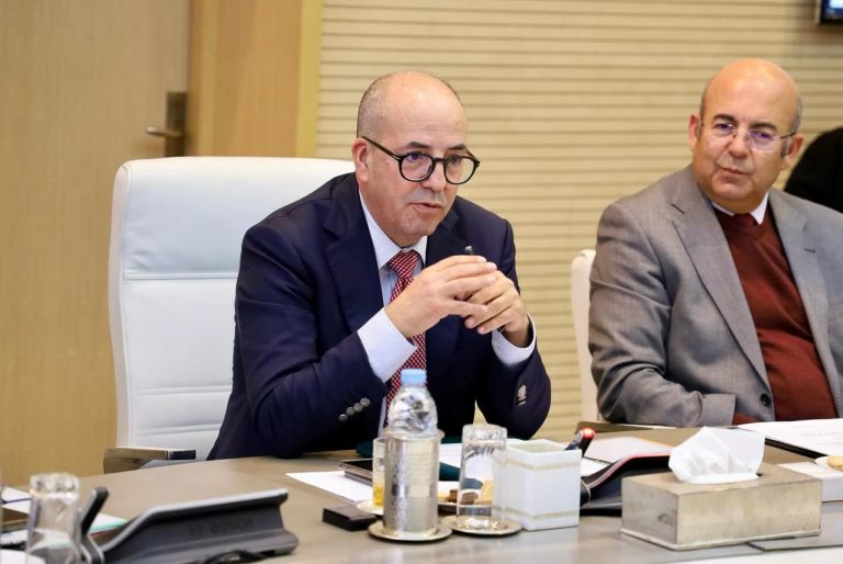 البواري: دعم الفلاحين الصغار والمتوسطين.. ورقابة صارمة على سوق الأعلاف