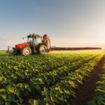 تساقطات مطرية تنعش آمال فلاحي جهة الدار البيضاء-سطات في موسم فلاحي واعد