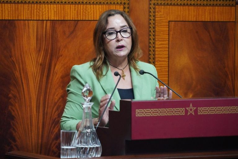 التامني تطالب بفتح تحقيق في "انزلاقات غير مسبوقة" بقطاع الصحافة بعد تسريب فيديو