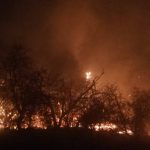 حرائق تيبازة بالجزائر: جهود مكثفة لإخماد النيران وإجلاء السكان