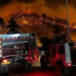 الجزائر.. اتهام مختلين عقليًا بإشعال حرائق تيبازة يثير جدلاً واسعًا