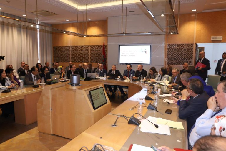 جدل برلماني حول "استغلال" لجنة القطاعات للدفاع عن مصالح شركات أدوية