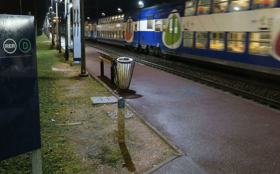 ابنة دبلوماسي مغربي ضحية سرقة عنيفة في قطار بفرنسا