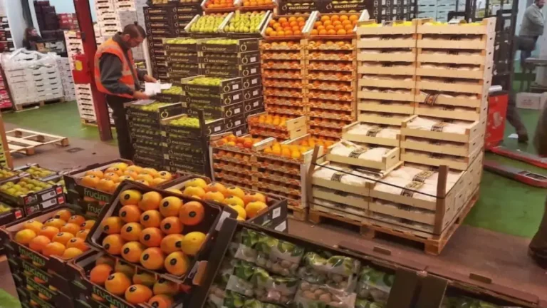 المغرب يعزز صدارته لسوق الخضر والفواكه الإسبانية