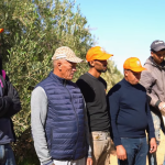 "المثمر" لـ"OCP" تواصل دعم الفلاحين وتحقق زيادة ملحوظة في الإنتاجية