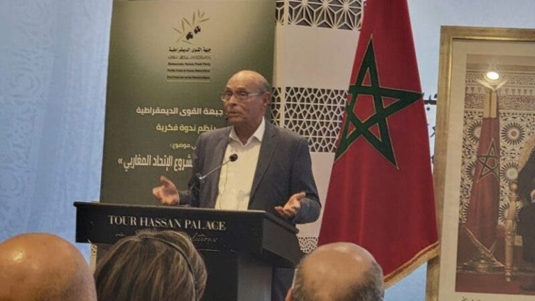 المرزوقي: تجول الملك محمد السادس في تونس أثار صدمتي وكدت أتعرض لأزمة قلبية