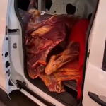 حجز كمية من اللحوم الفاسدة في مراكش وإحالة المتورطين للتحقيق