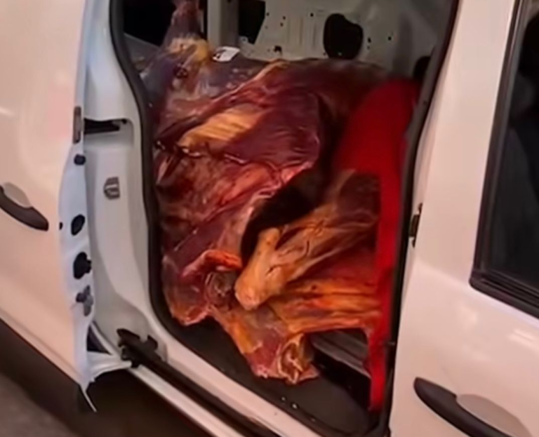 حجز كمية من اللحوم الفاسدة في مراكش وإحالة المتورطين للتحقيق