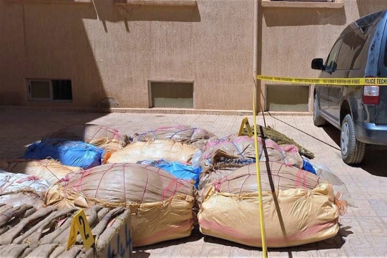 توقيف أخطر مروّج للمخدرات وحجز كميات كبيرة بتارودانت